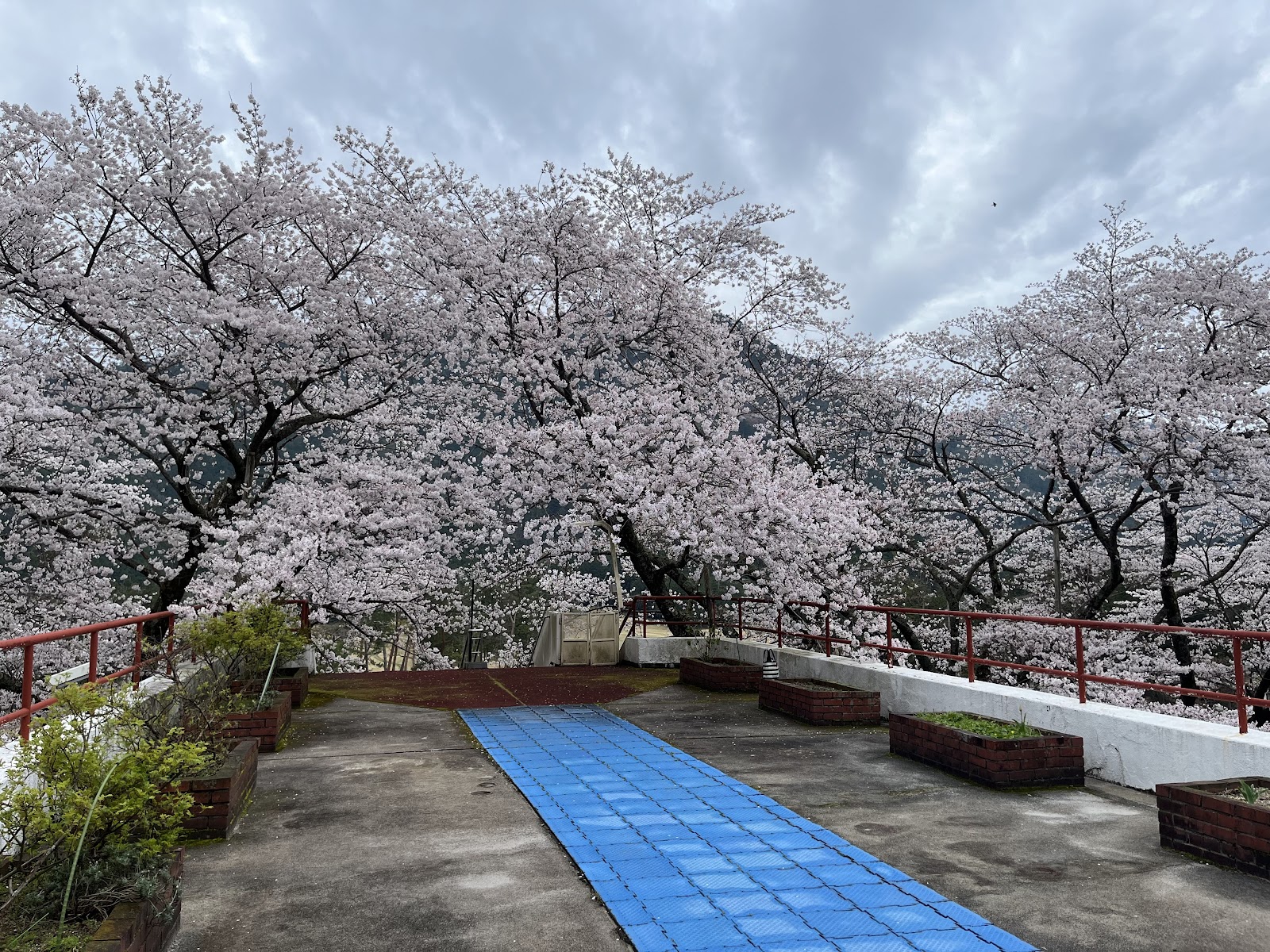 Hikami Country Club - 3