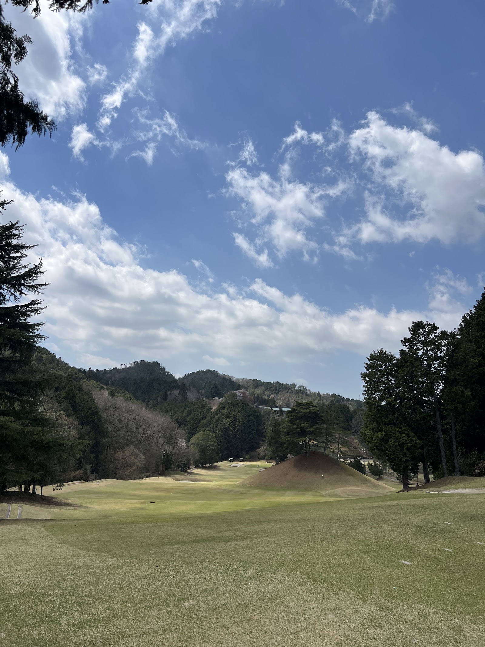 Yaezakura Country Club - 2