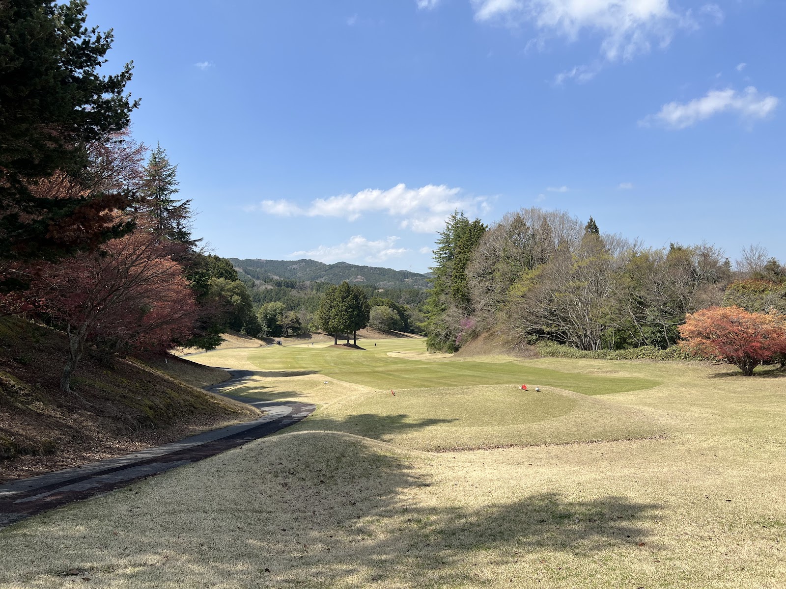 Yaezakura Country Club - 3