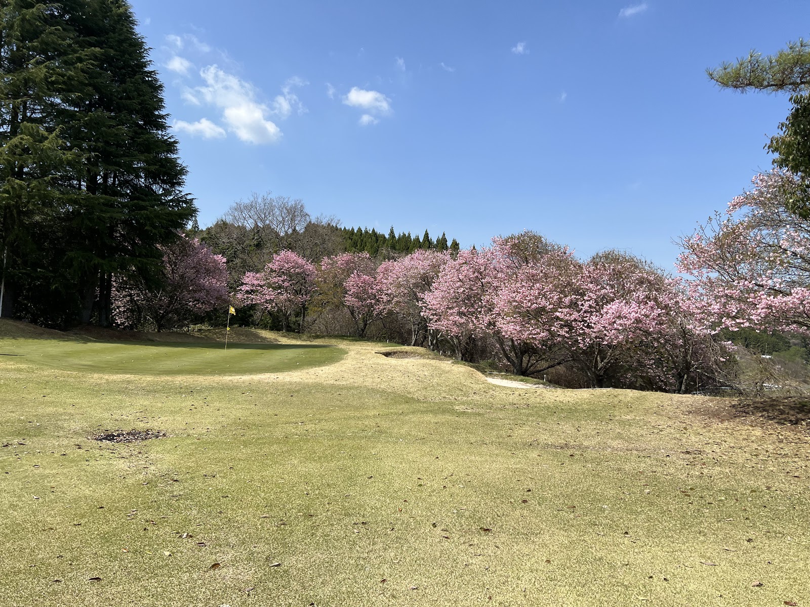 Yaezakura Country Club - 6