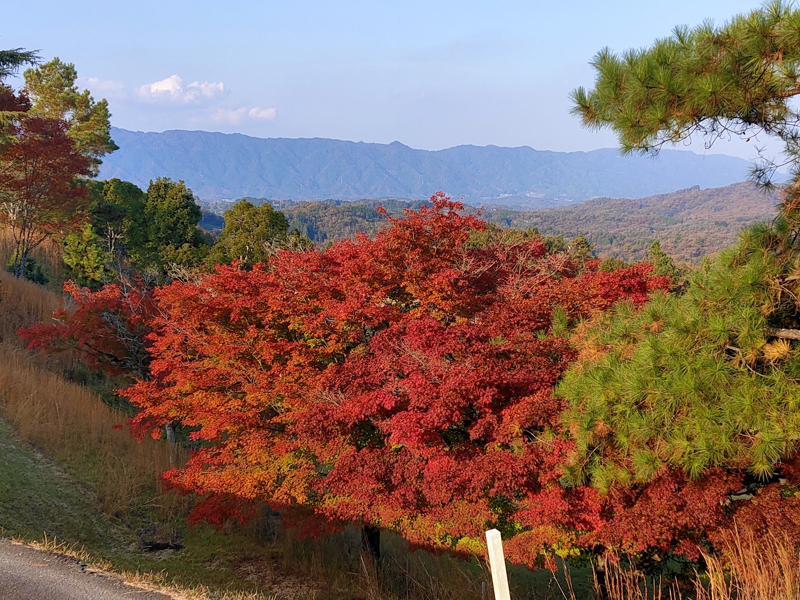 Tsukigase Country Club - 6