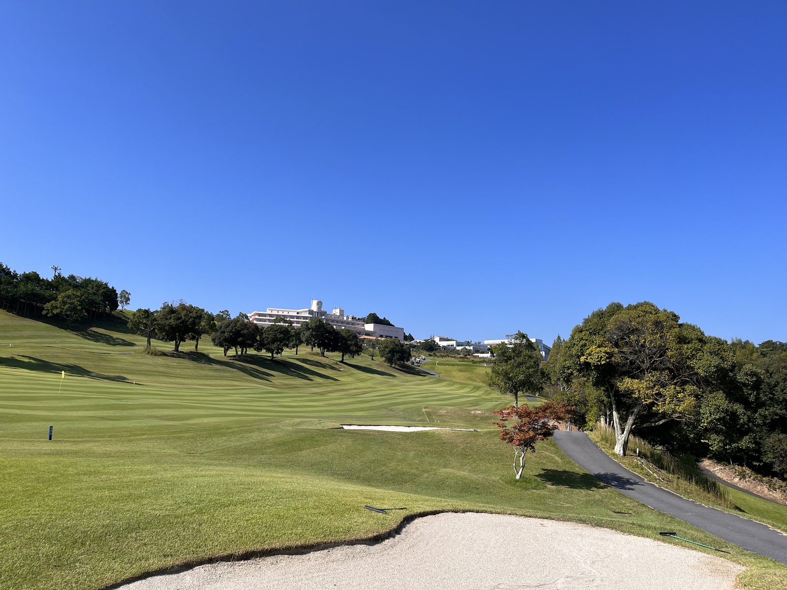 Lake Forest Resort Bird Spring Course - 4