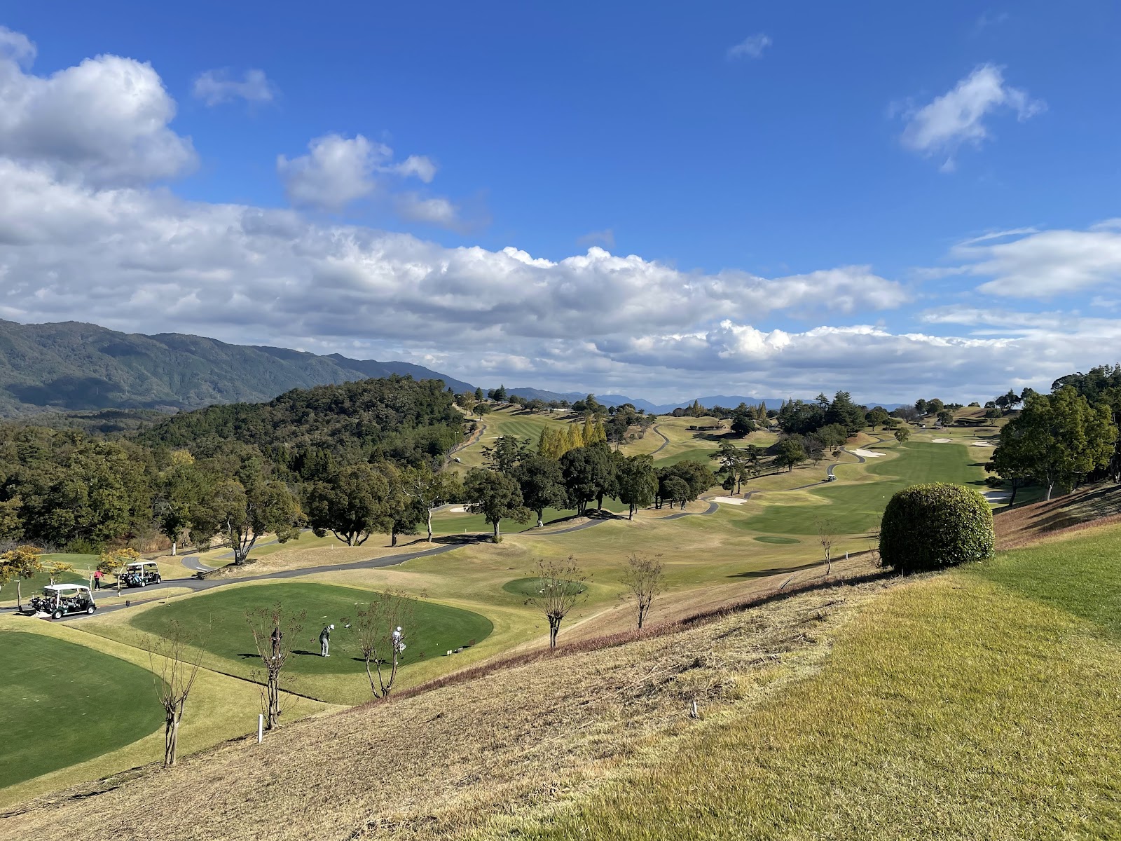 Lake Forest Resort Bird Spring Course - 6