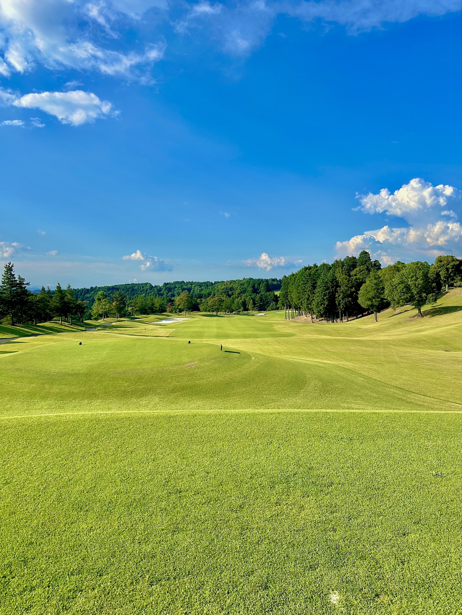 Route 25 Golf Club - 4