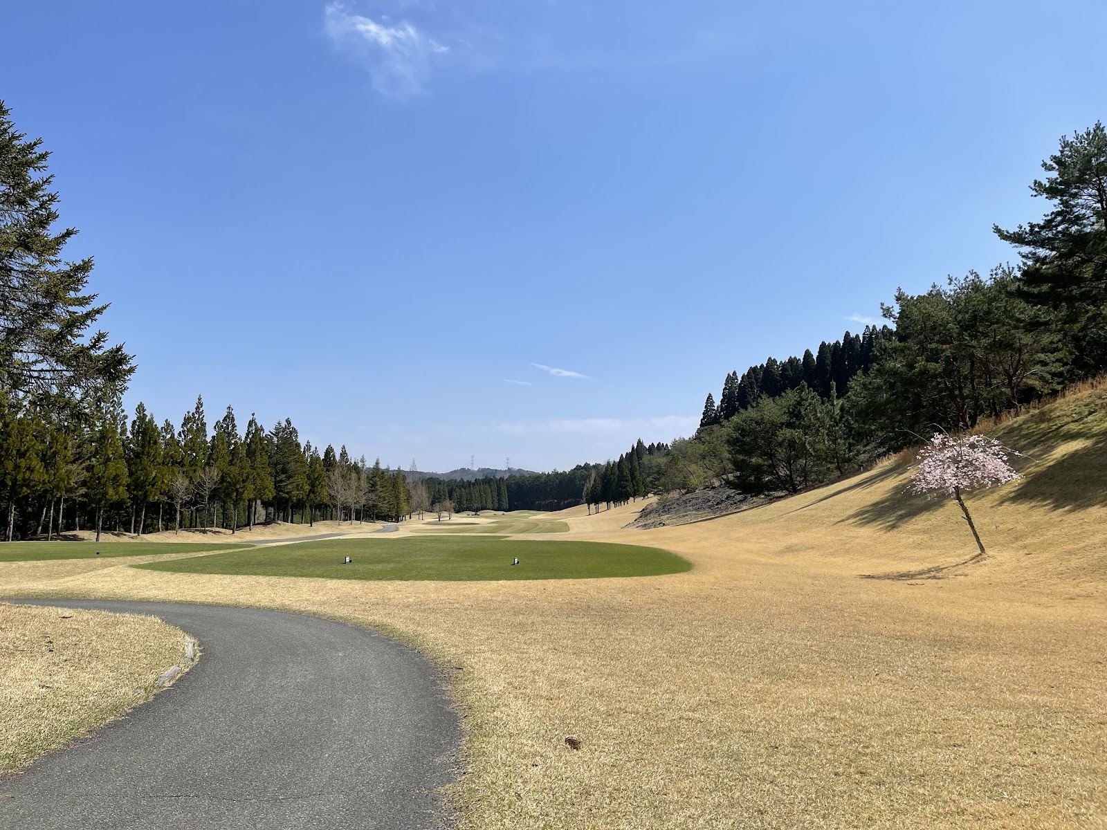 JOYX Golf Club Kozuki Course - 3