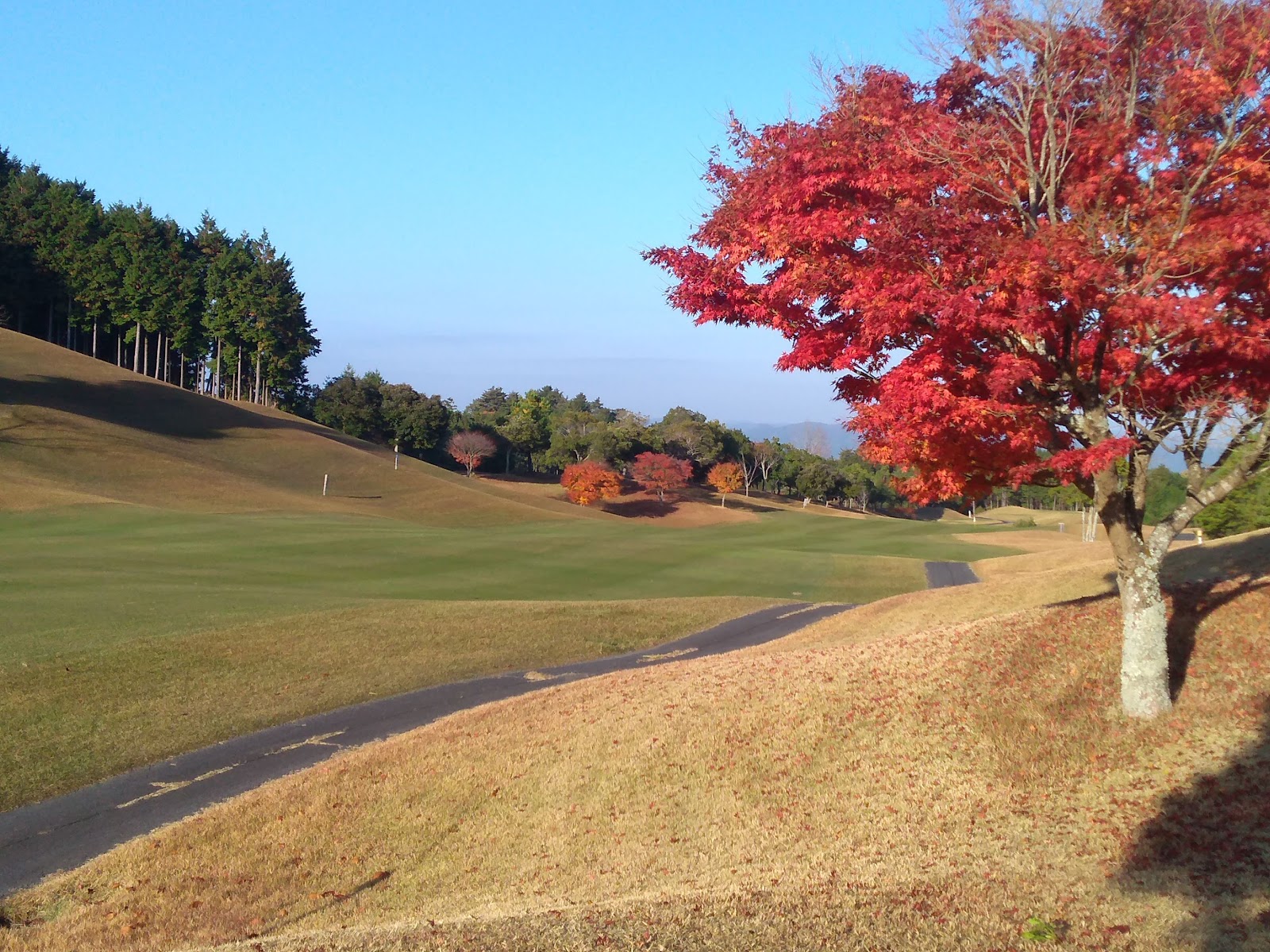 Nabari South Country Club - 5