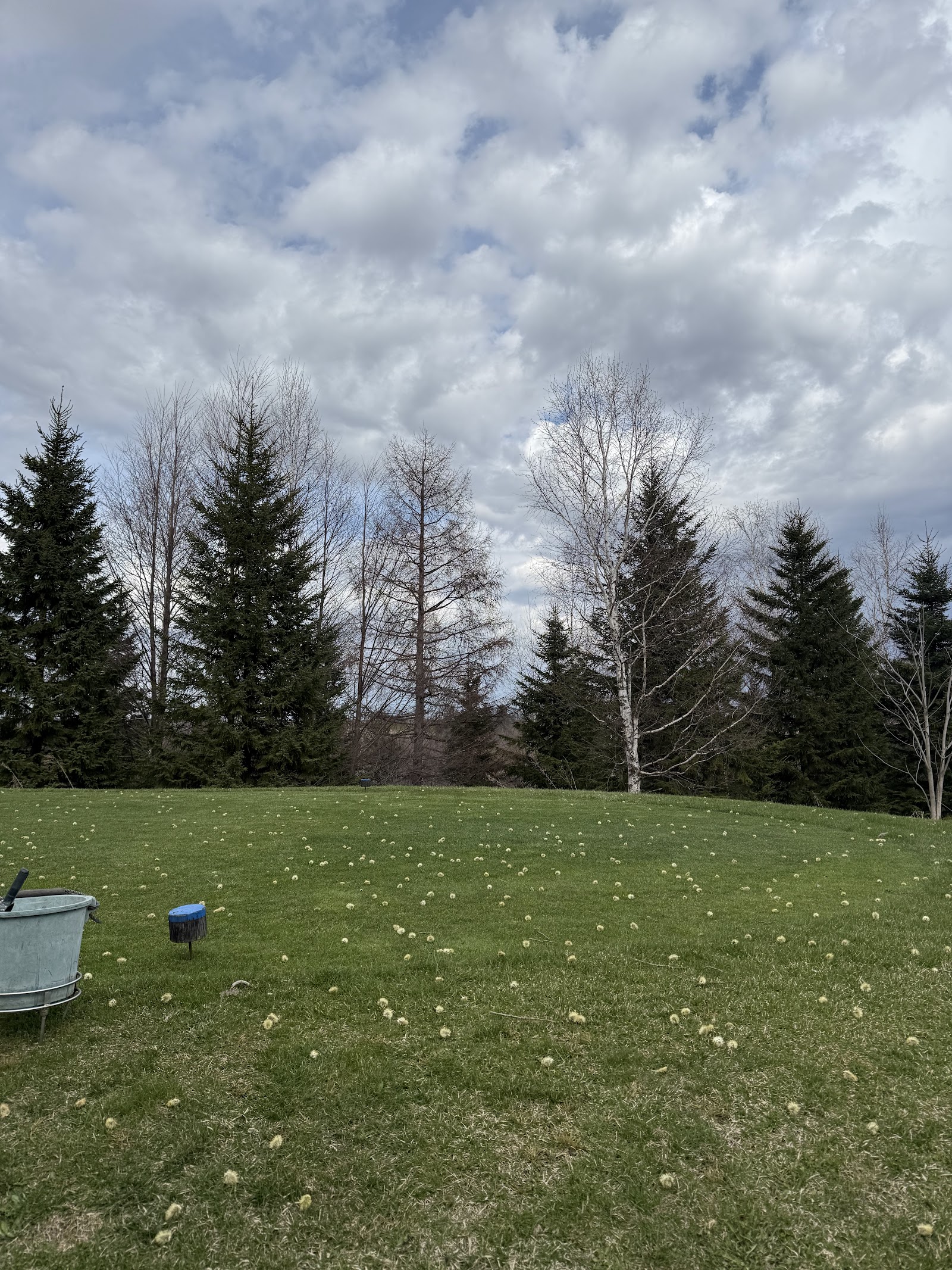 Abashiri Country Club - 5