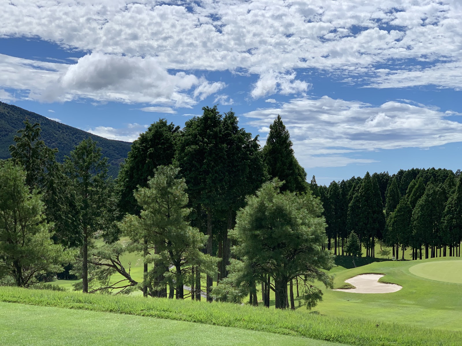 Torinoki Country Club - 4