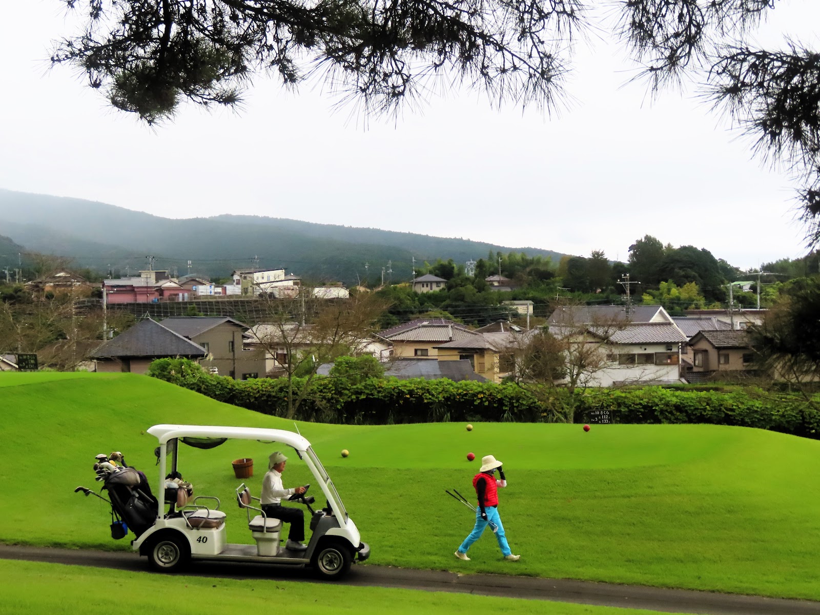 Dai-Fuji Golf Club - 5