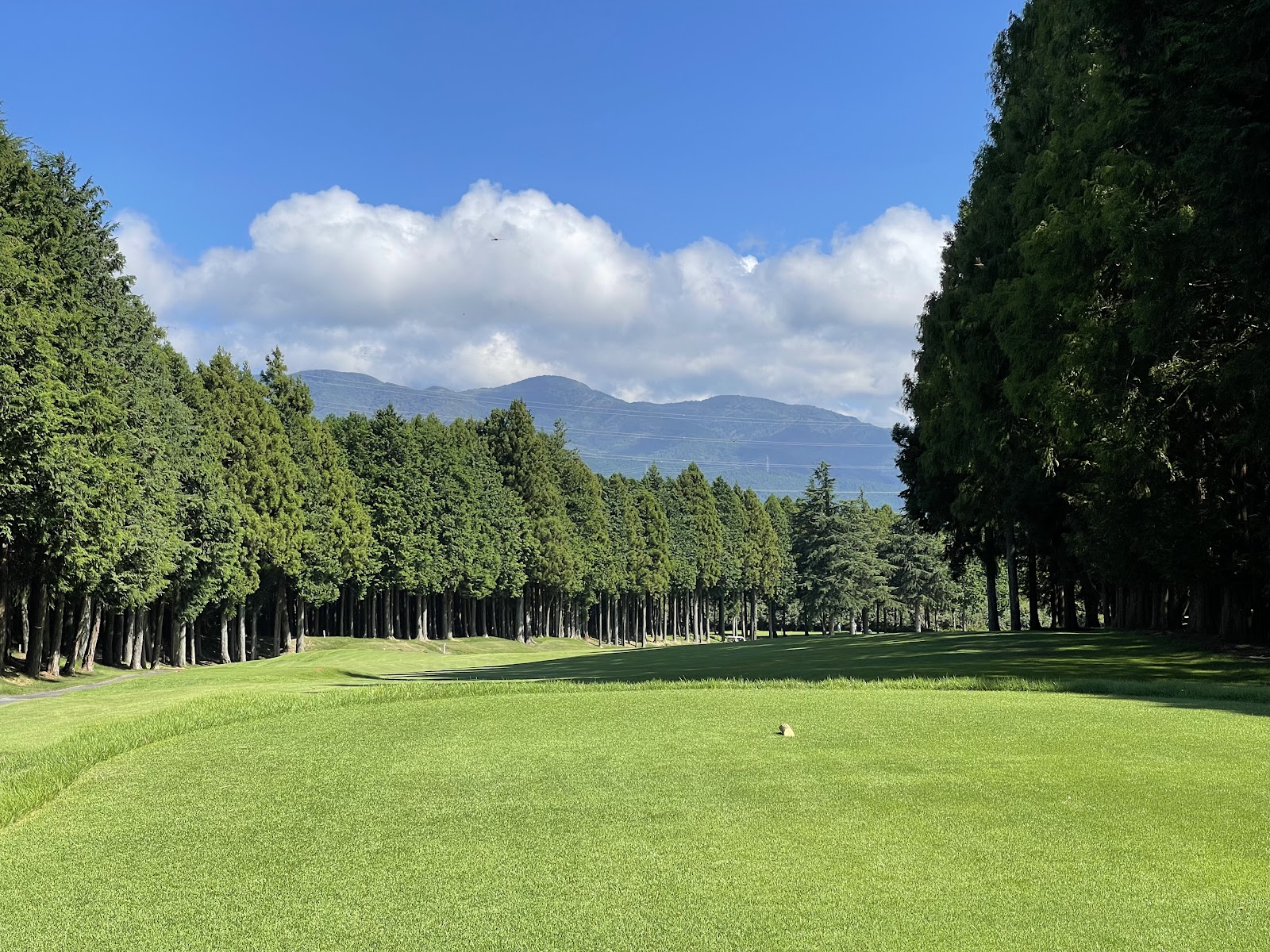 Fuji-Gotemba Golf Club - 2