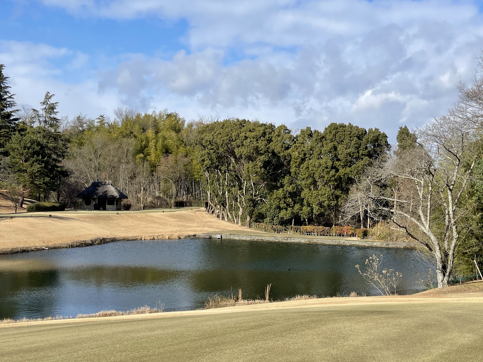 Tanabe Country Club - 2