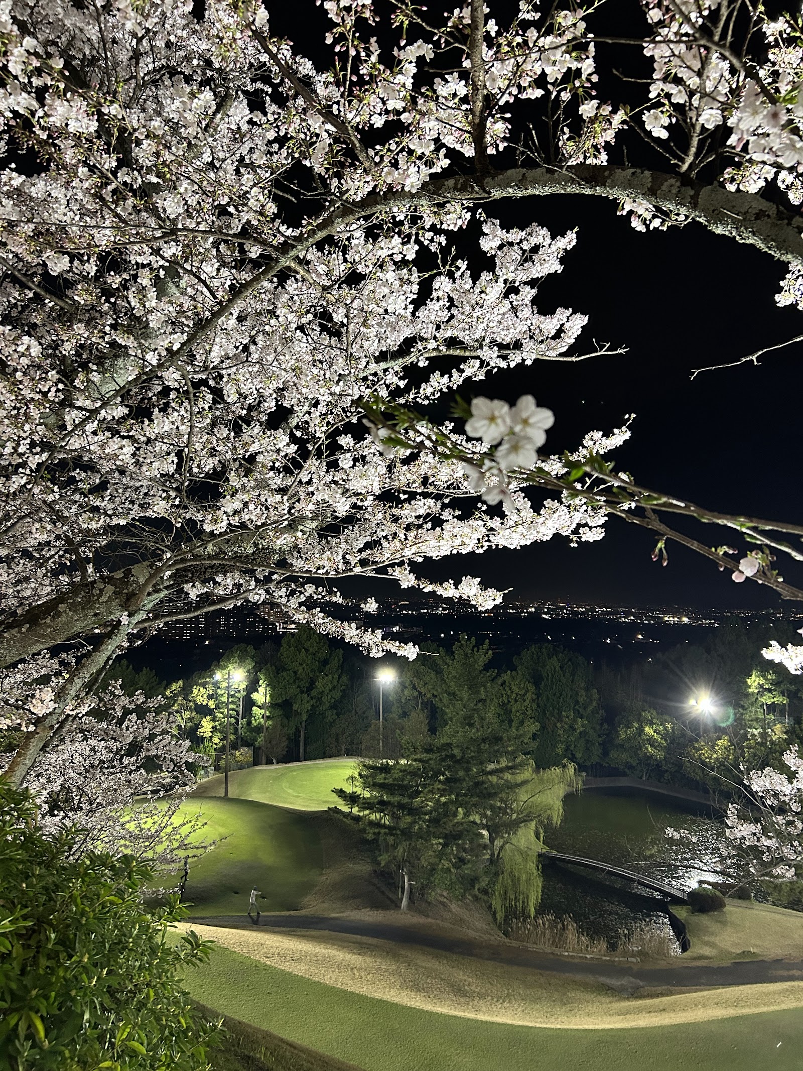 Hirakata Country Club