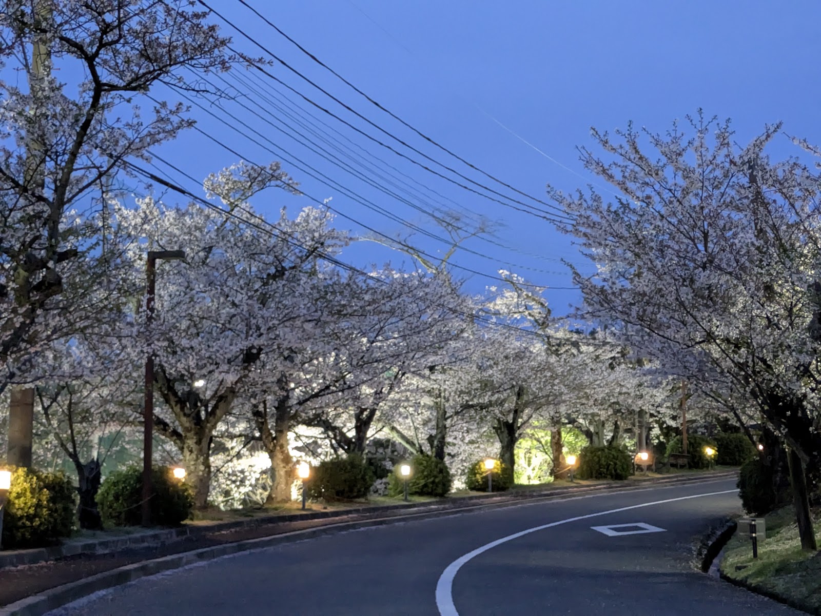 Hirakata Country Club - 2