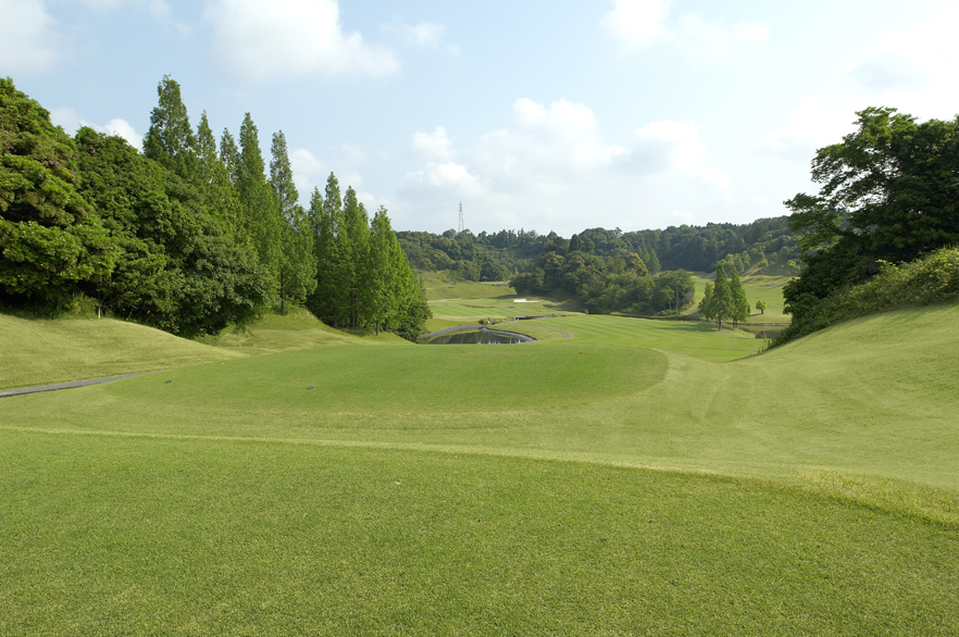Turtle Ace Golf Club
