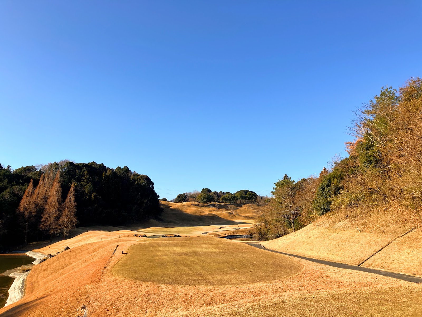 Turtle Ace Golf Club - 6