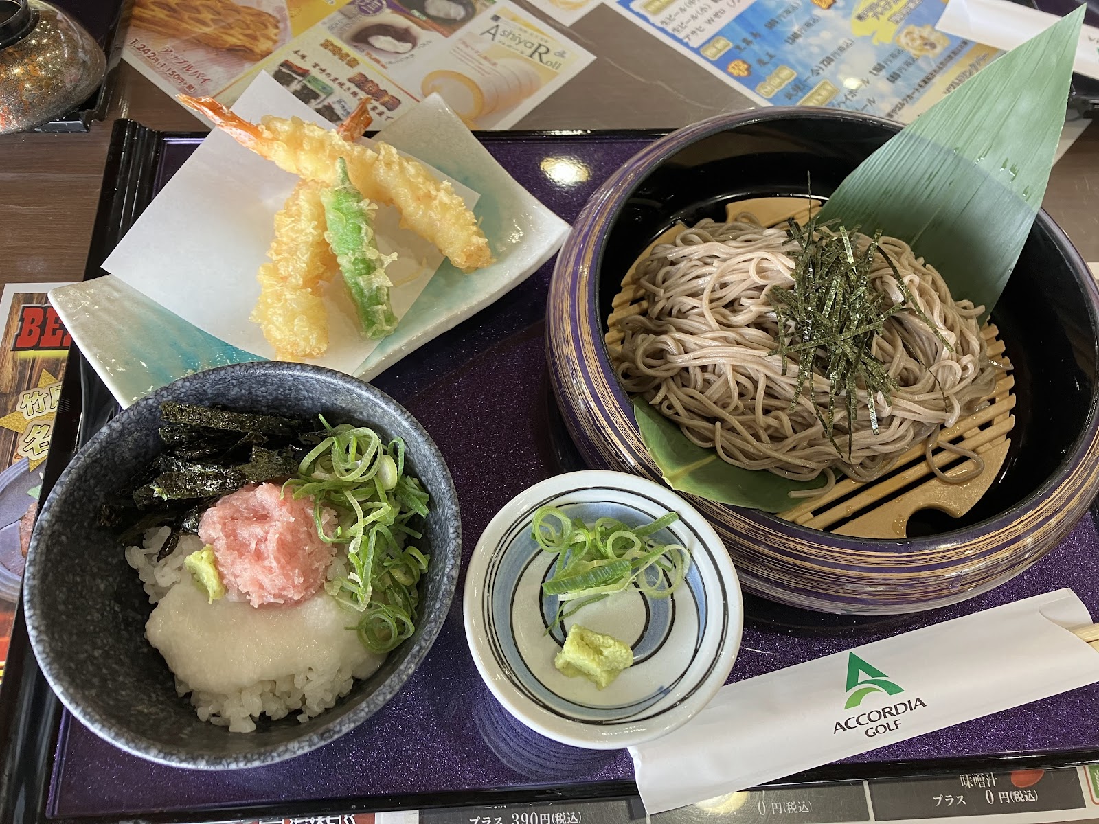 Takehara Country Club - 3