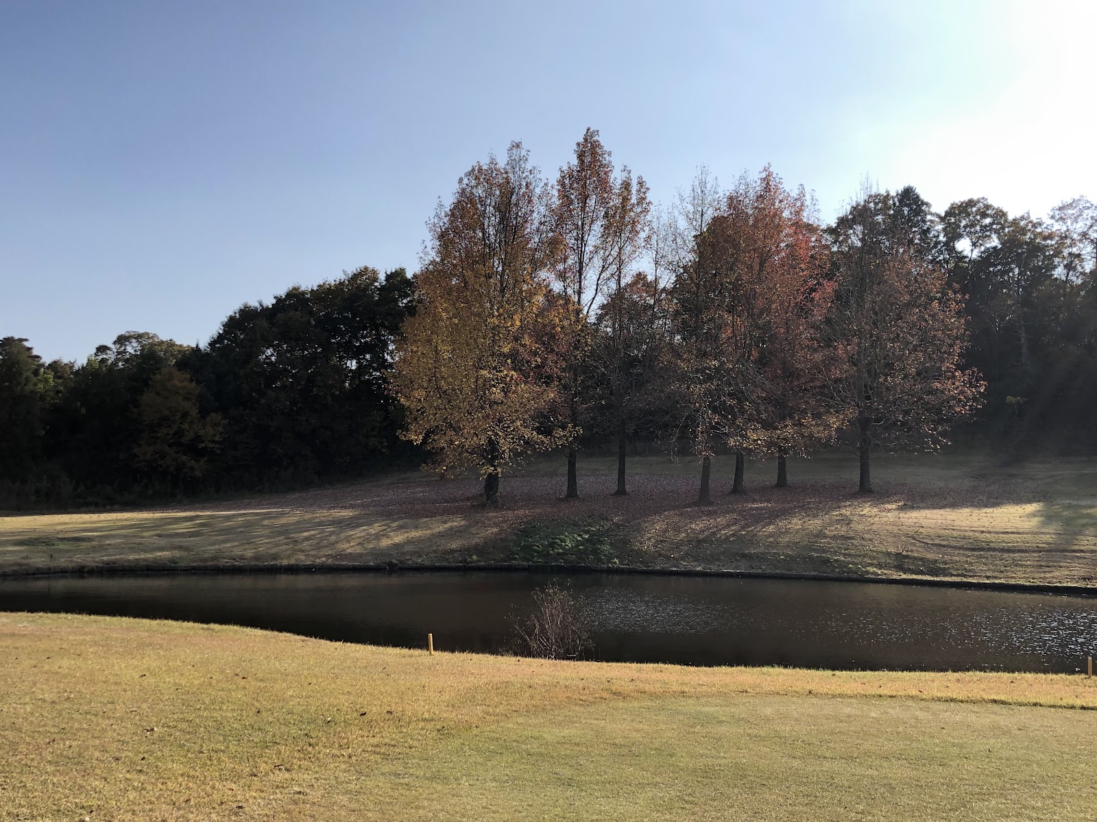 Meishin Ryuou Country Club - 5