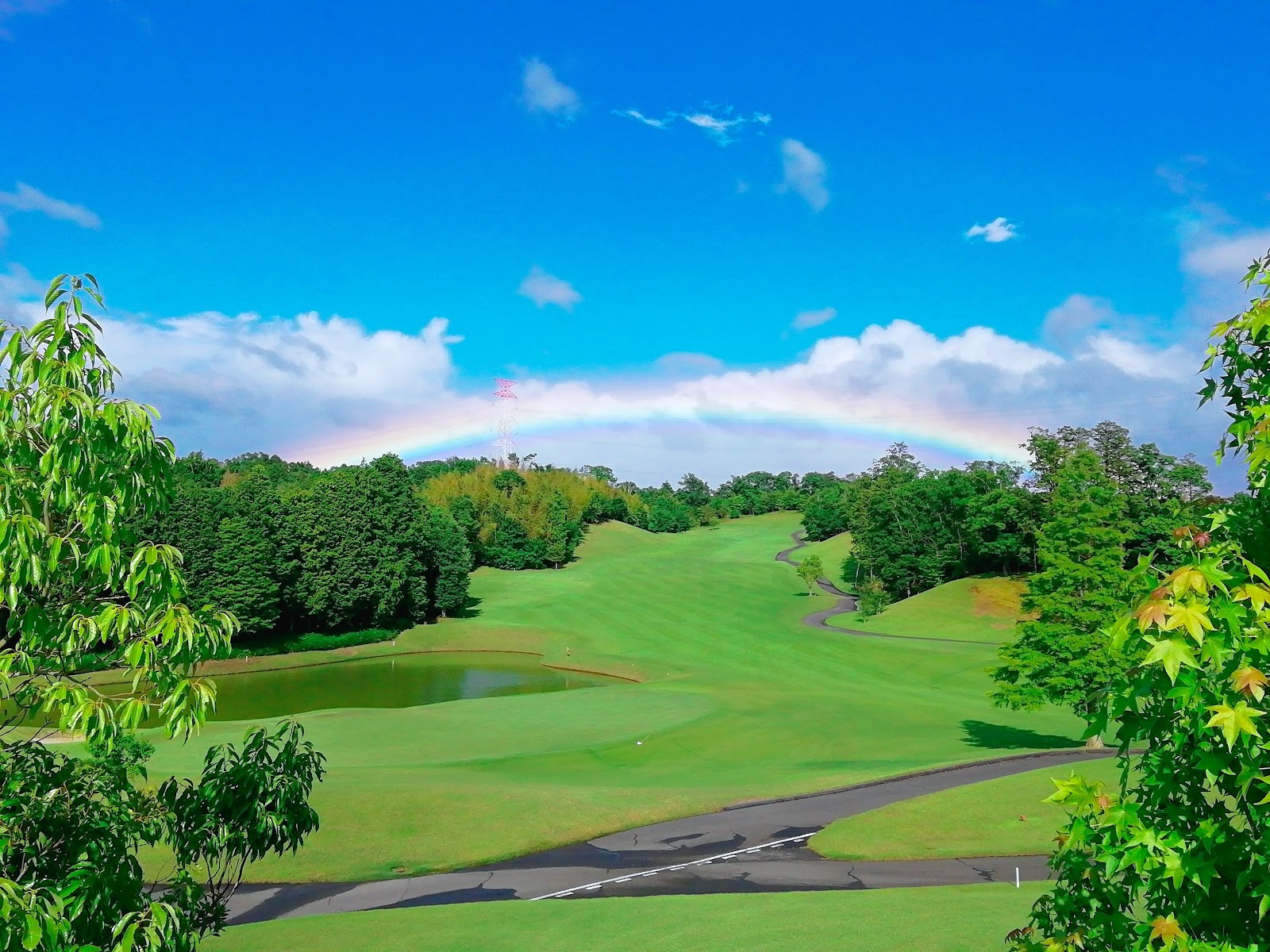 Bears Paw Japan Country Club - 2