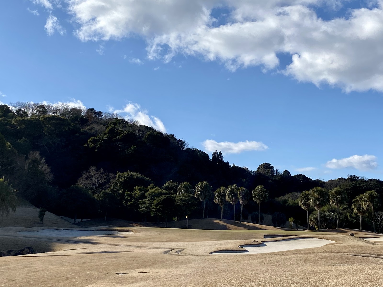 Shin-Minamiichi Country Club Mihama Course - 4