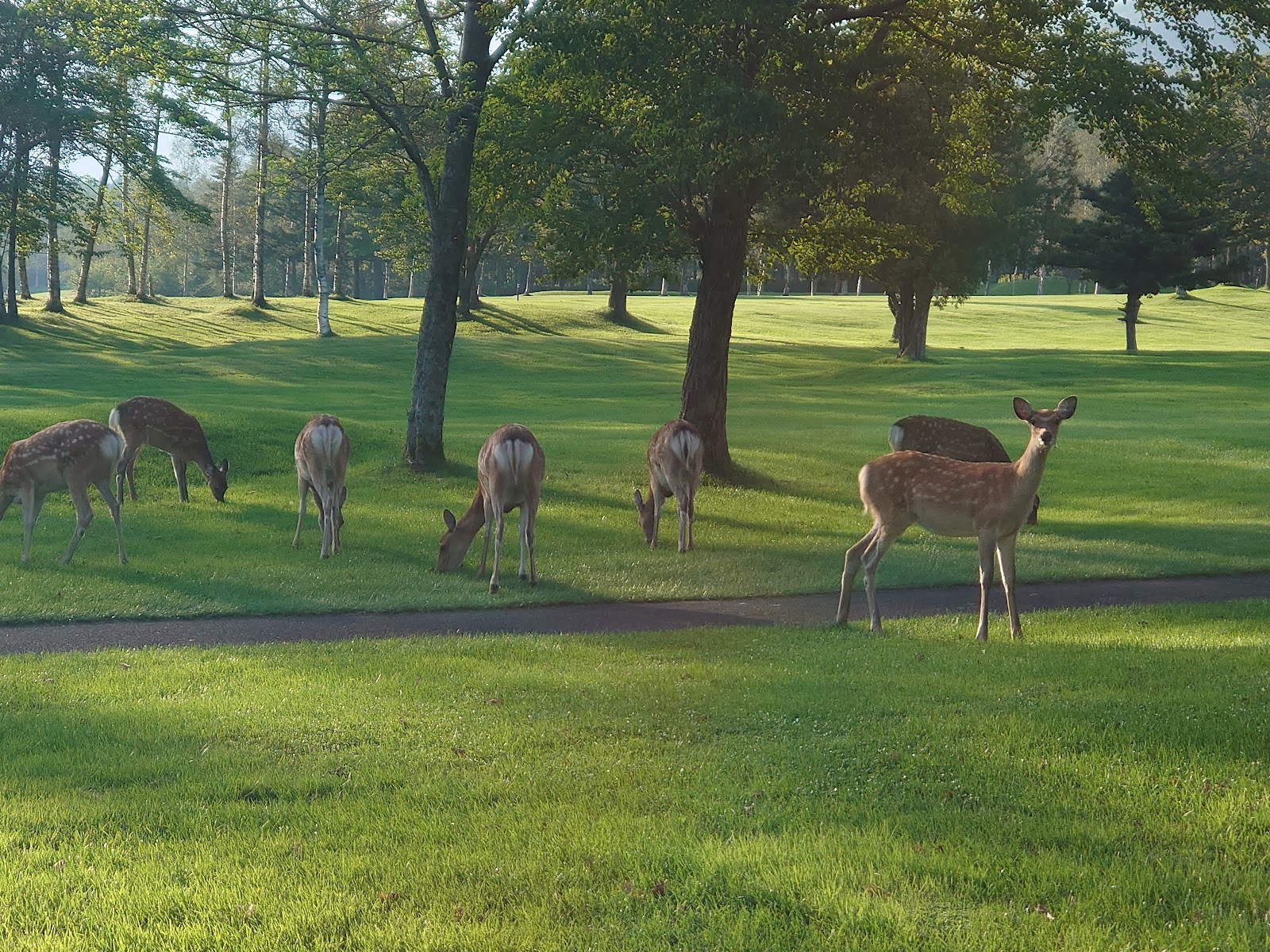 Sahoro Country Club - 2