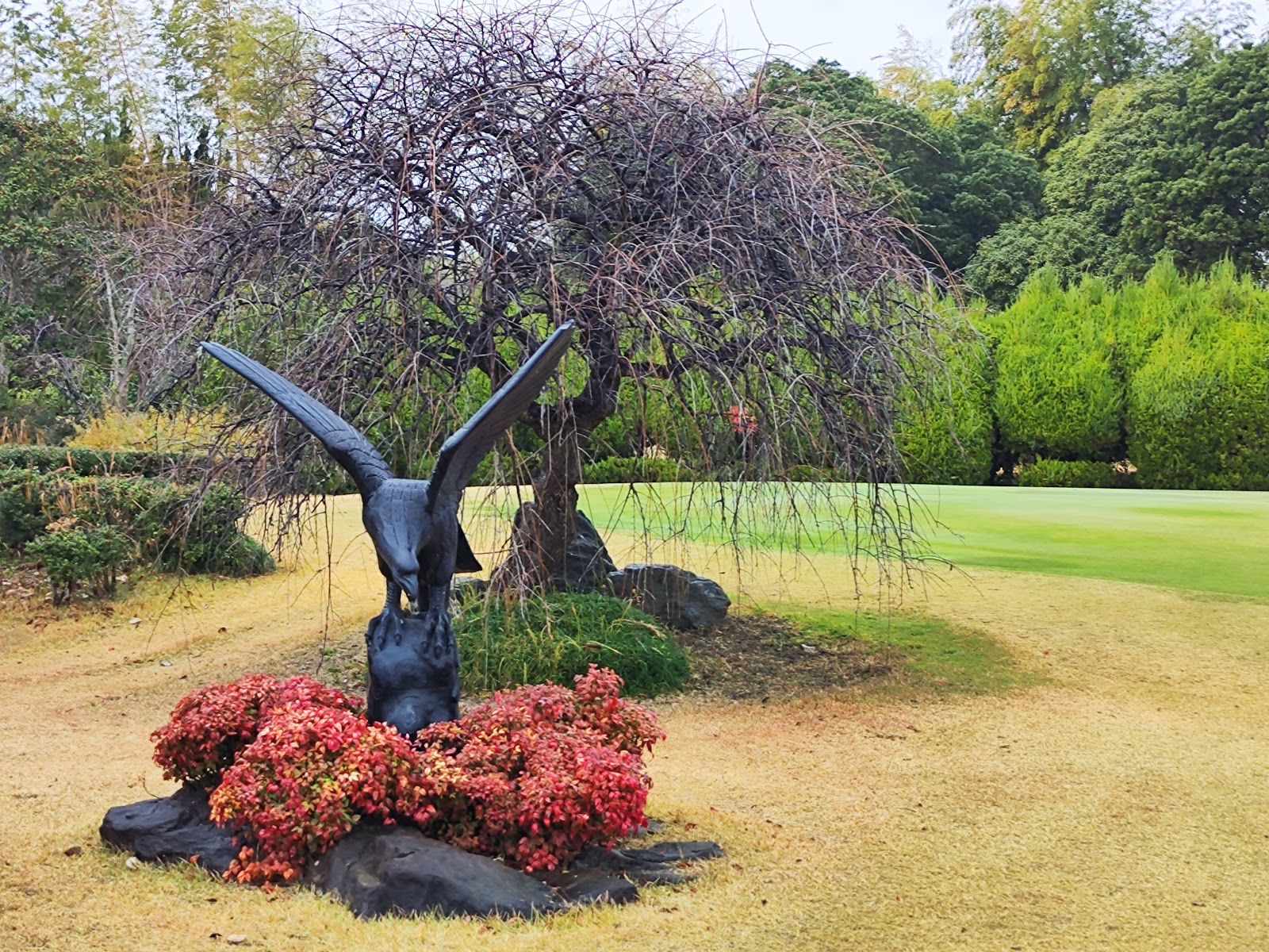 Takawa Royal Country Club - 5
