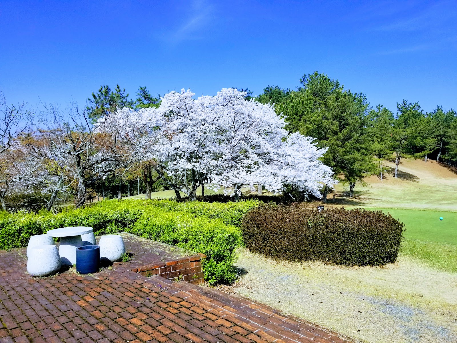 Dazaifu Golf Club - 2