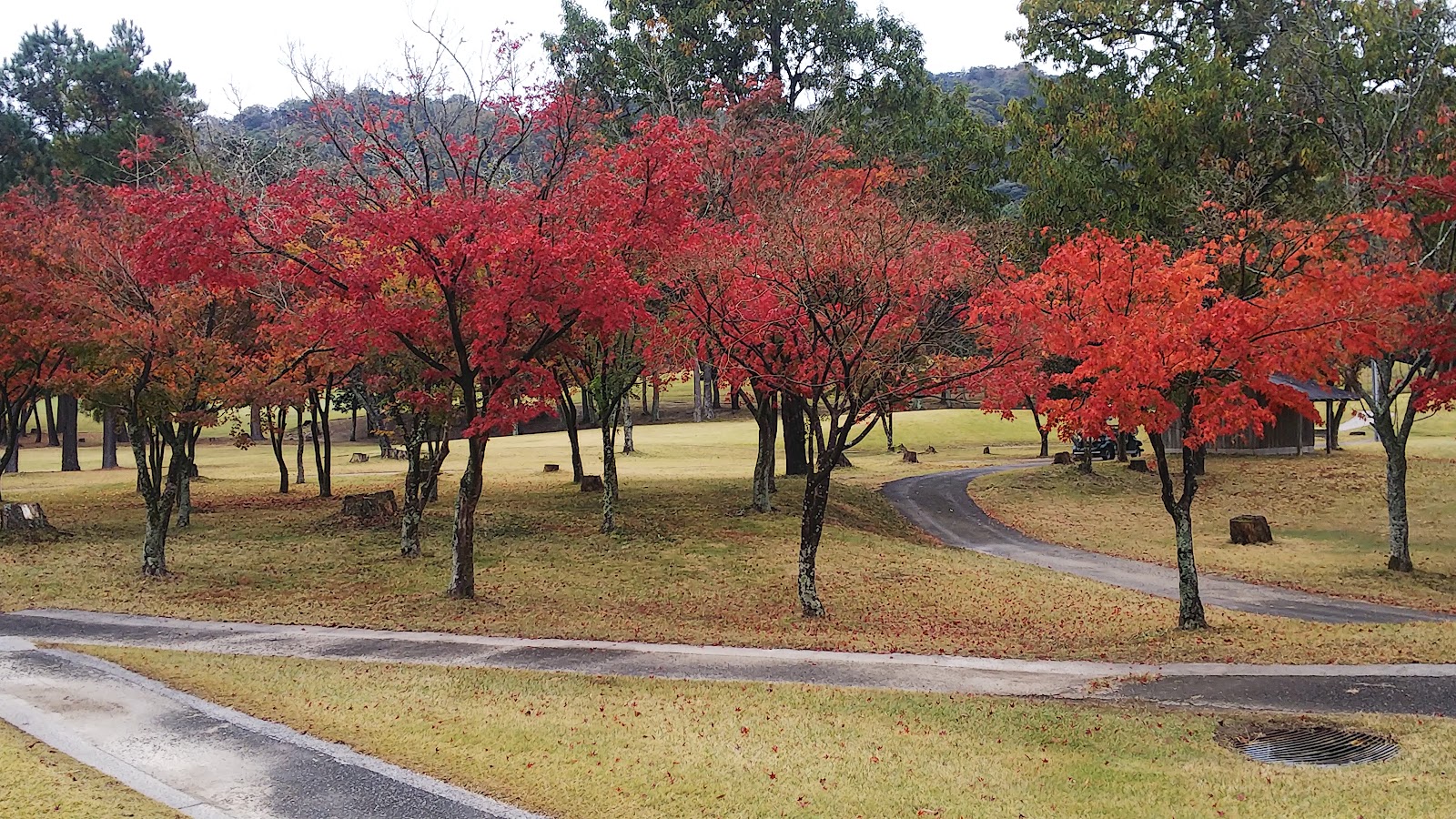 Katsuyama Gosho Country Club - 5