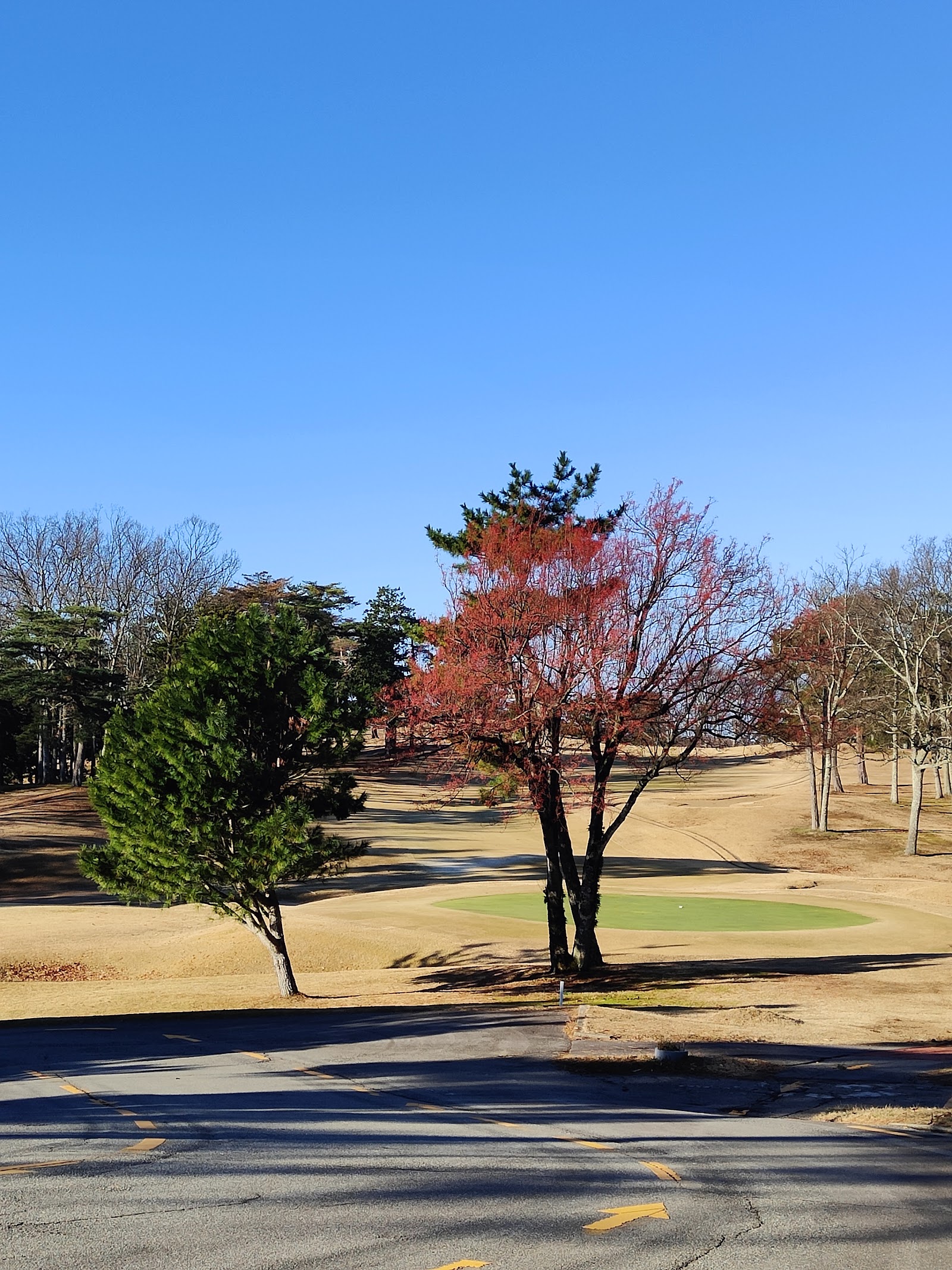 Yamashiro-Yamanaka Golf Course - 4
