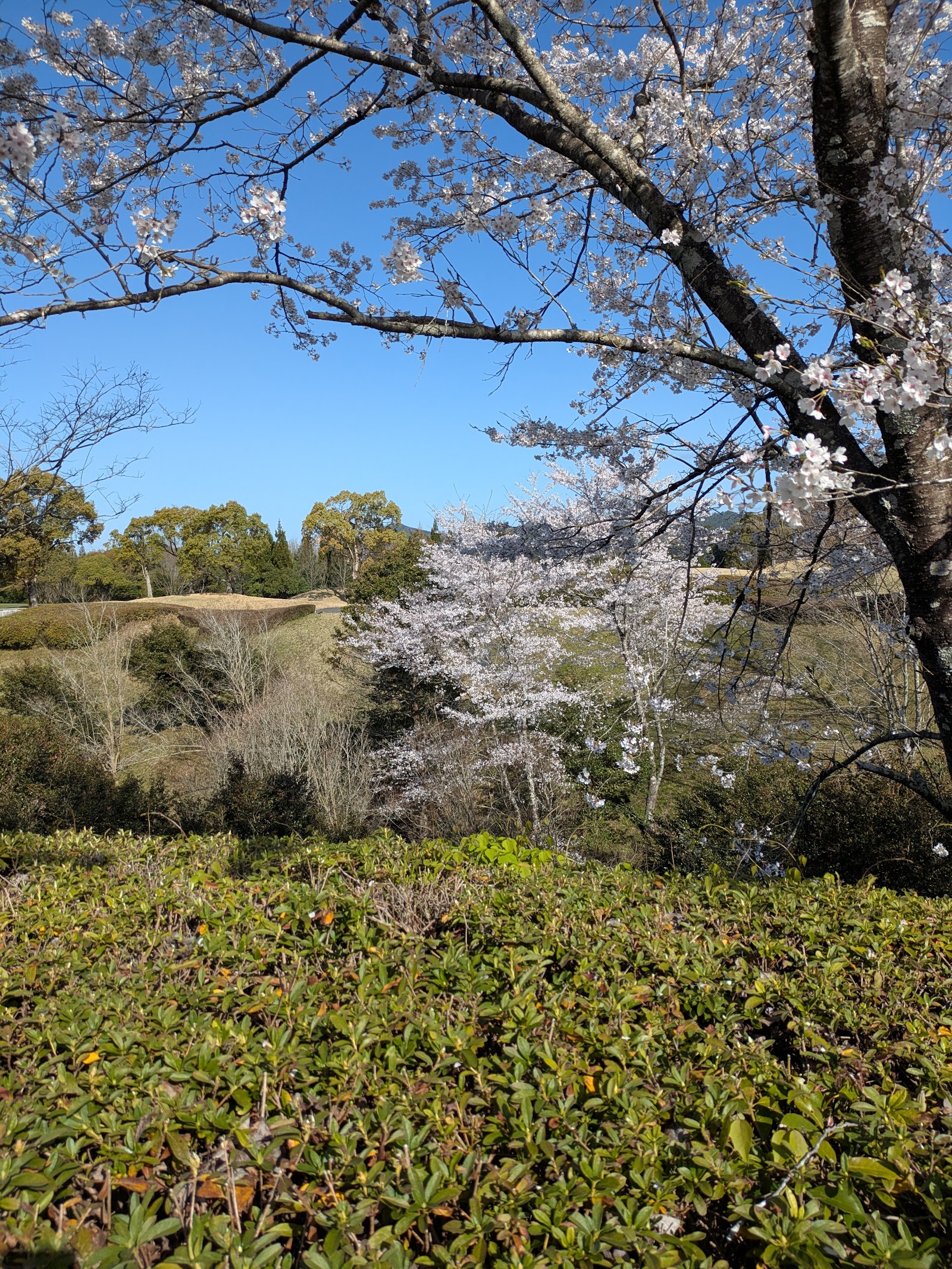 Gifu Saint Field Country Club - 6