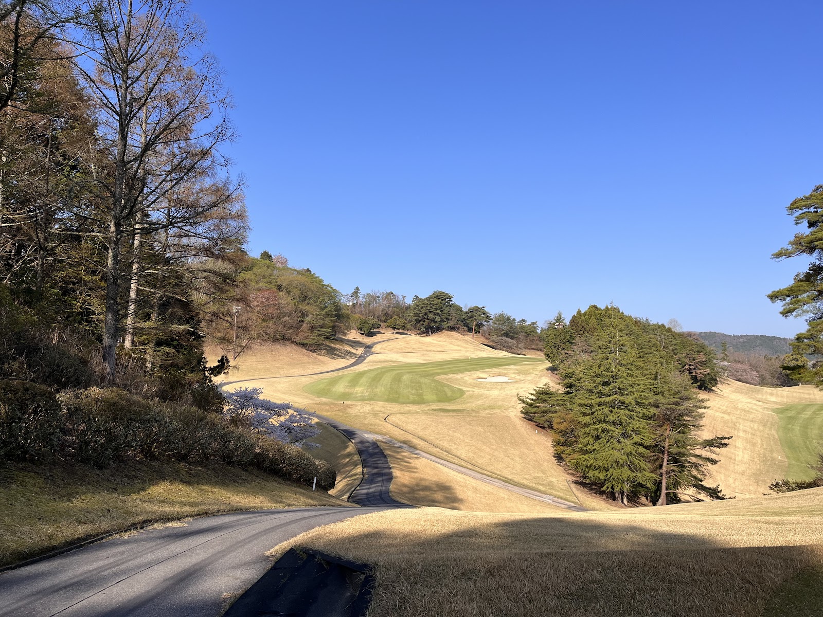 Green Highland Country Club - 3