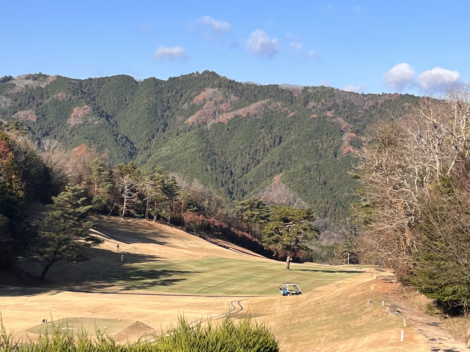 Green Highland Country Club - 4
