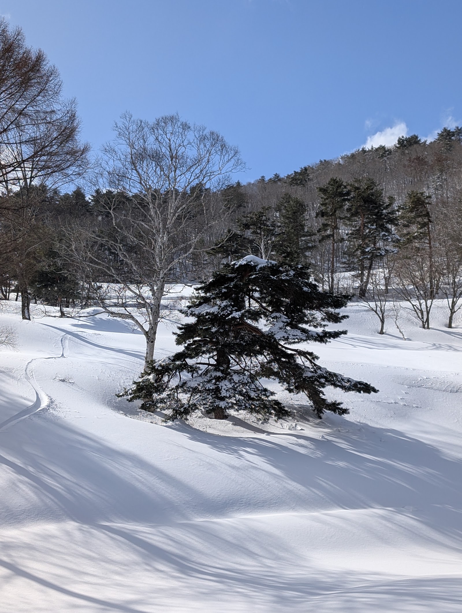 Shiga Kogen Country Club - 4