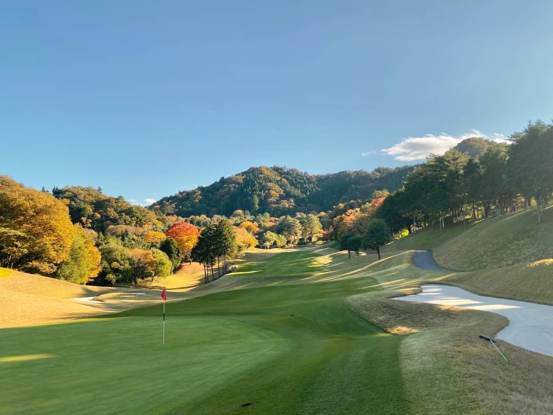 Maple Point Golf Club - 6