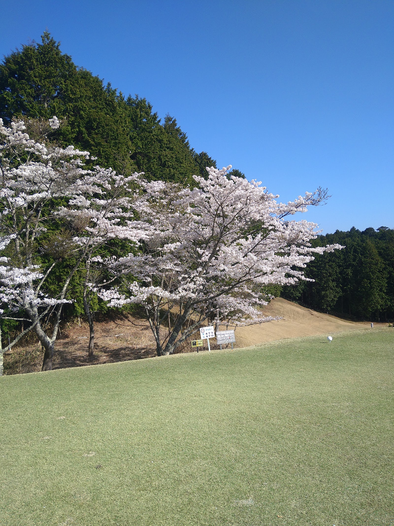 Tenri Golf Club - 5