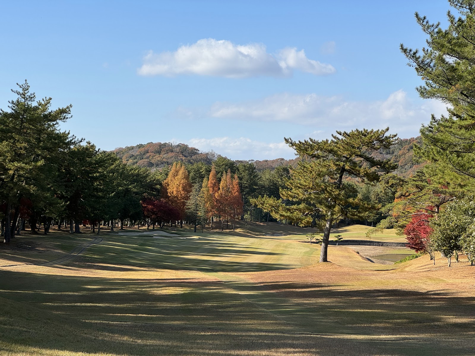 Ono Golf Club - 4