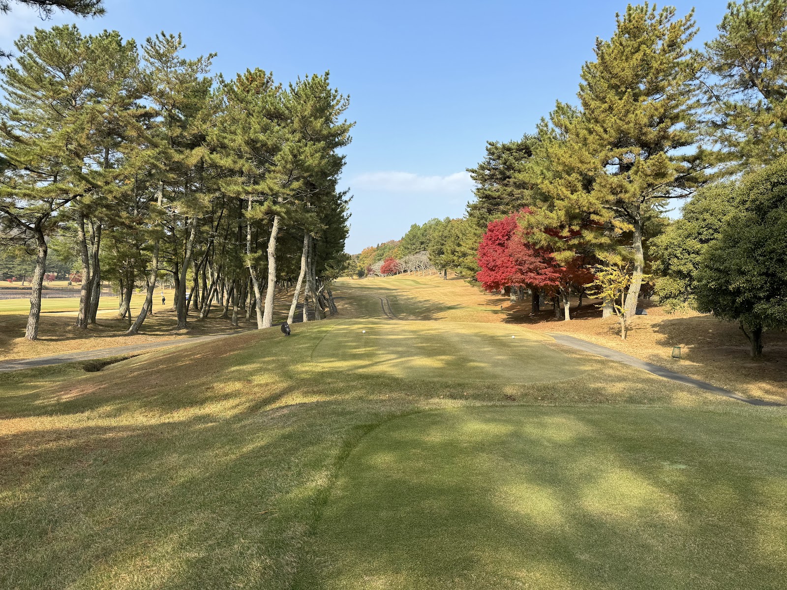 Ono Golf Club - 5