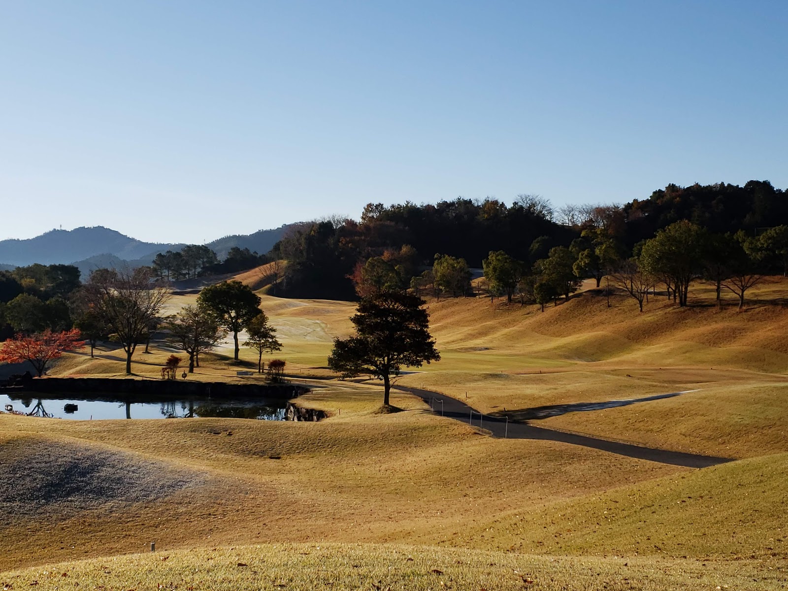 Forest Ichikawa Golf Club - 2