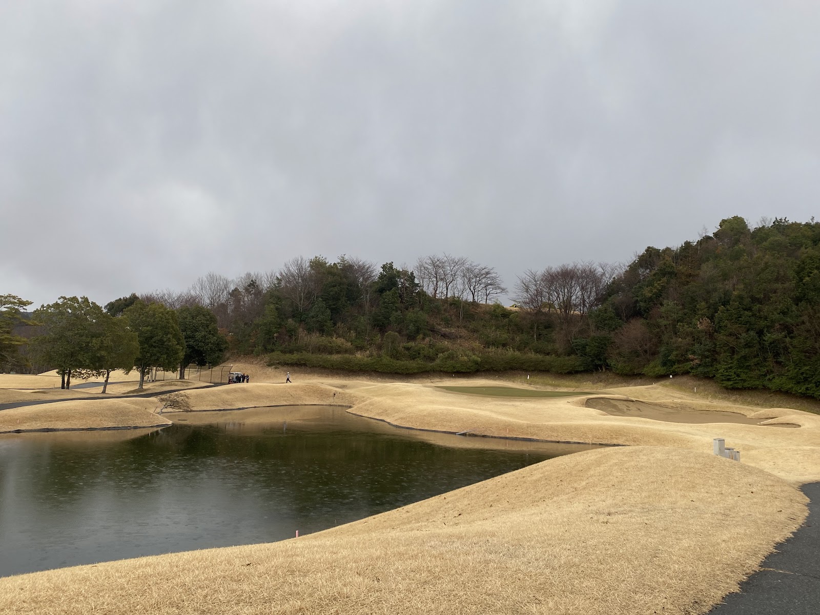 Forest Ichikawa Golf Club - 3