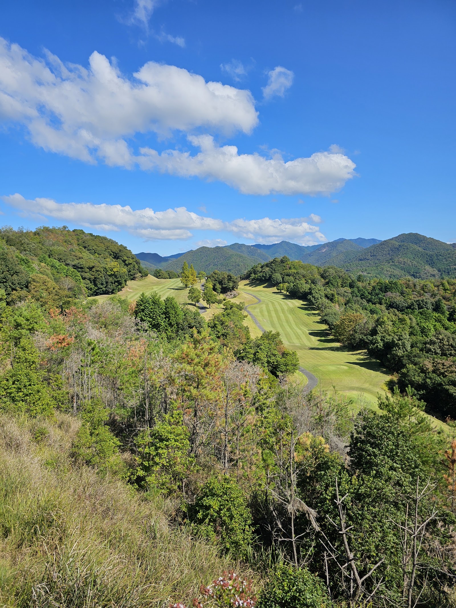 Forest Ichikawa Golf Club - 6