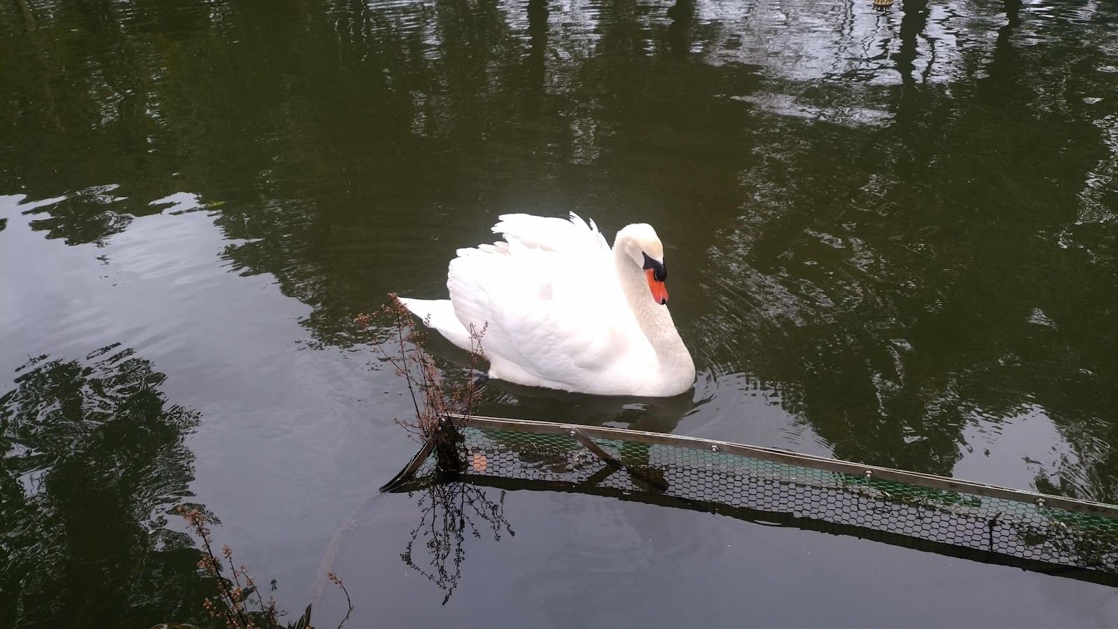 Awoka Golf Club - 2