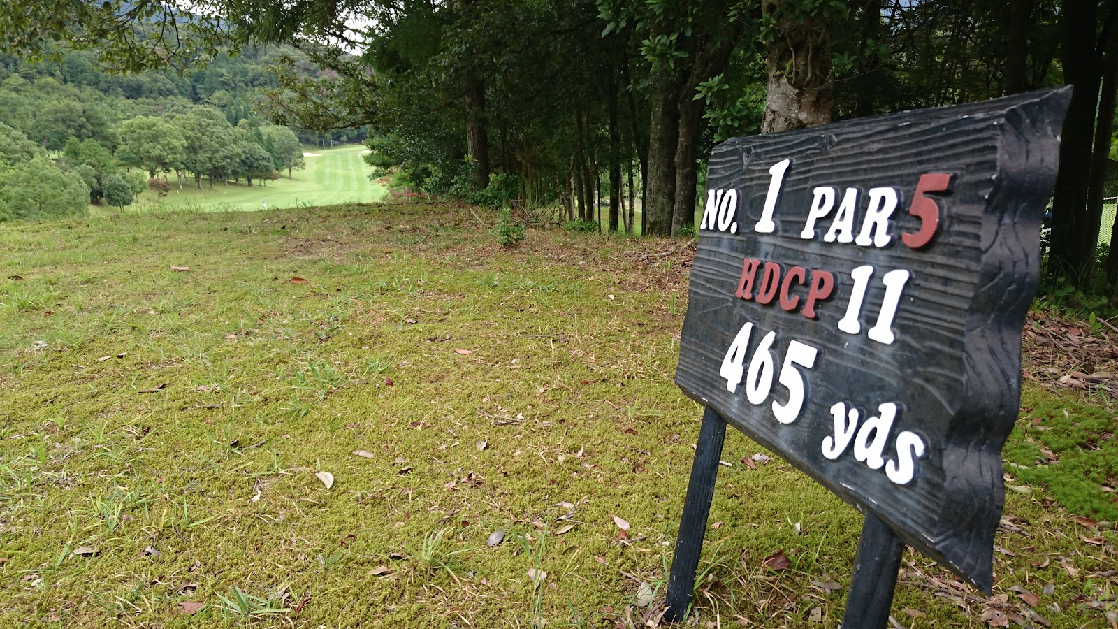 Awoka Golf Club - 5