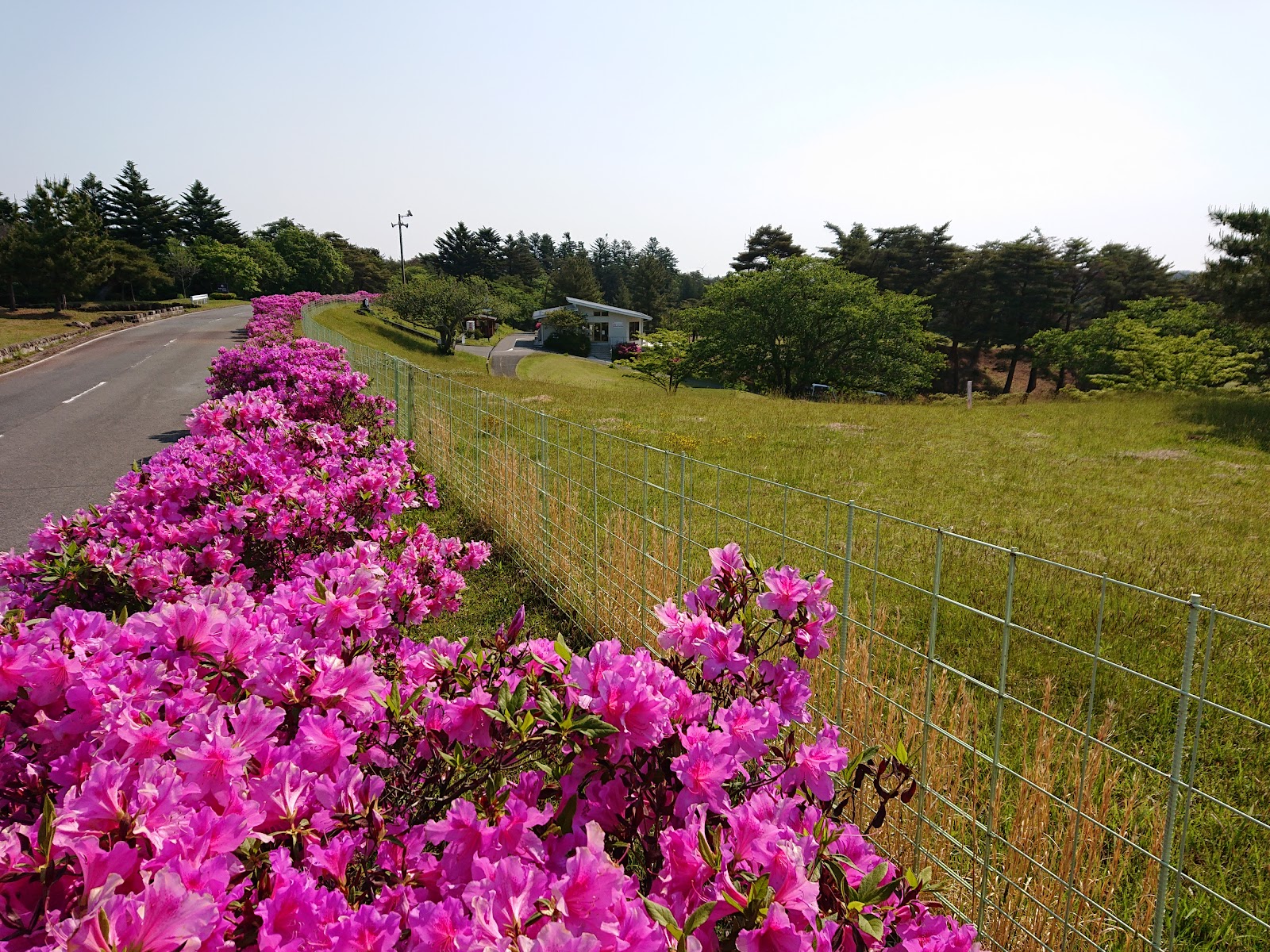 Kashima Country Club - 4