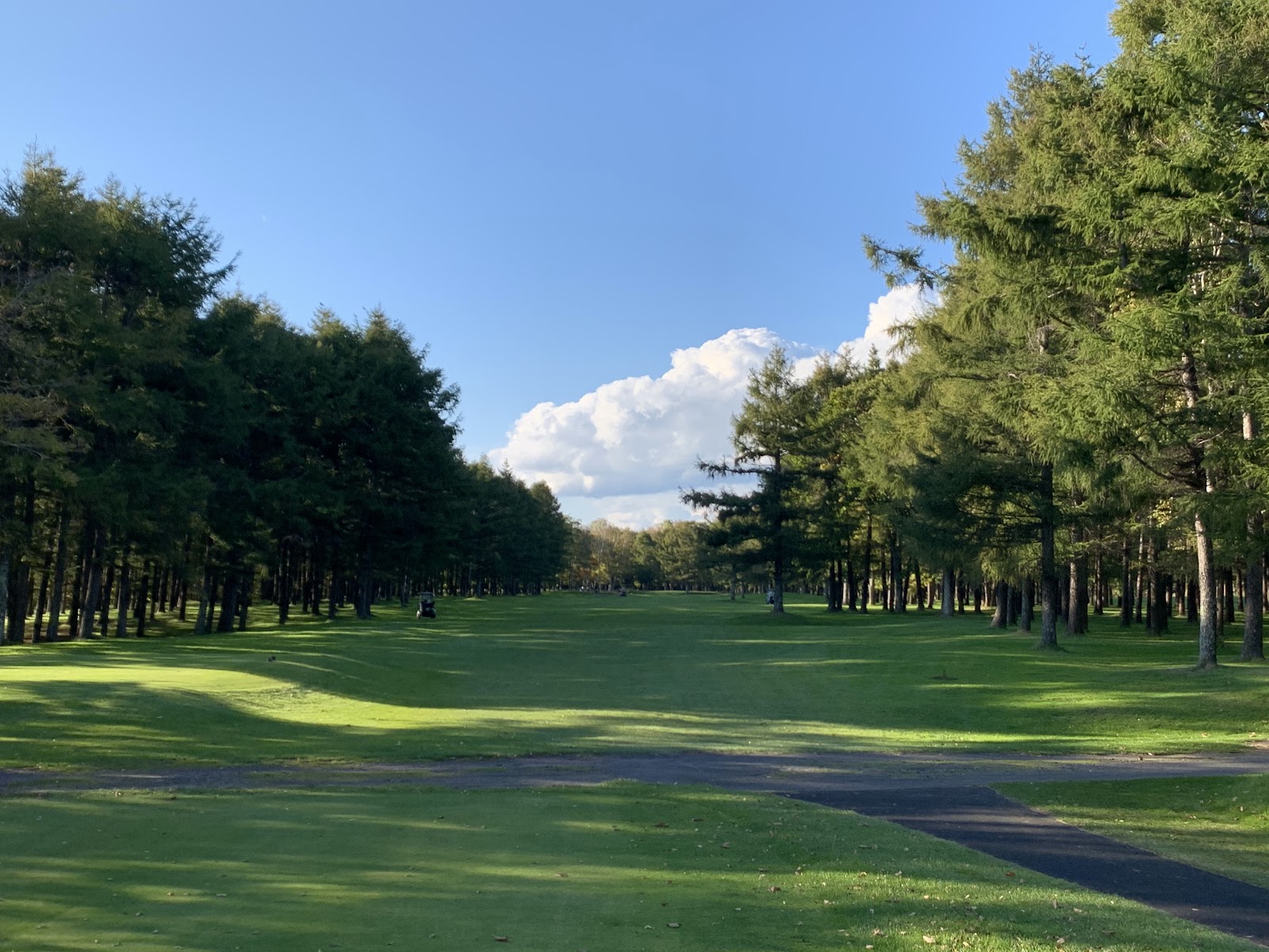 Ueshinao Country Club