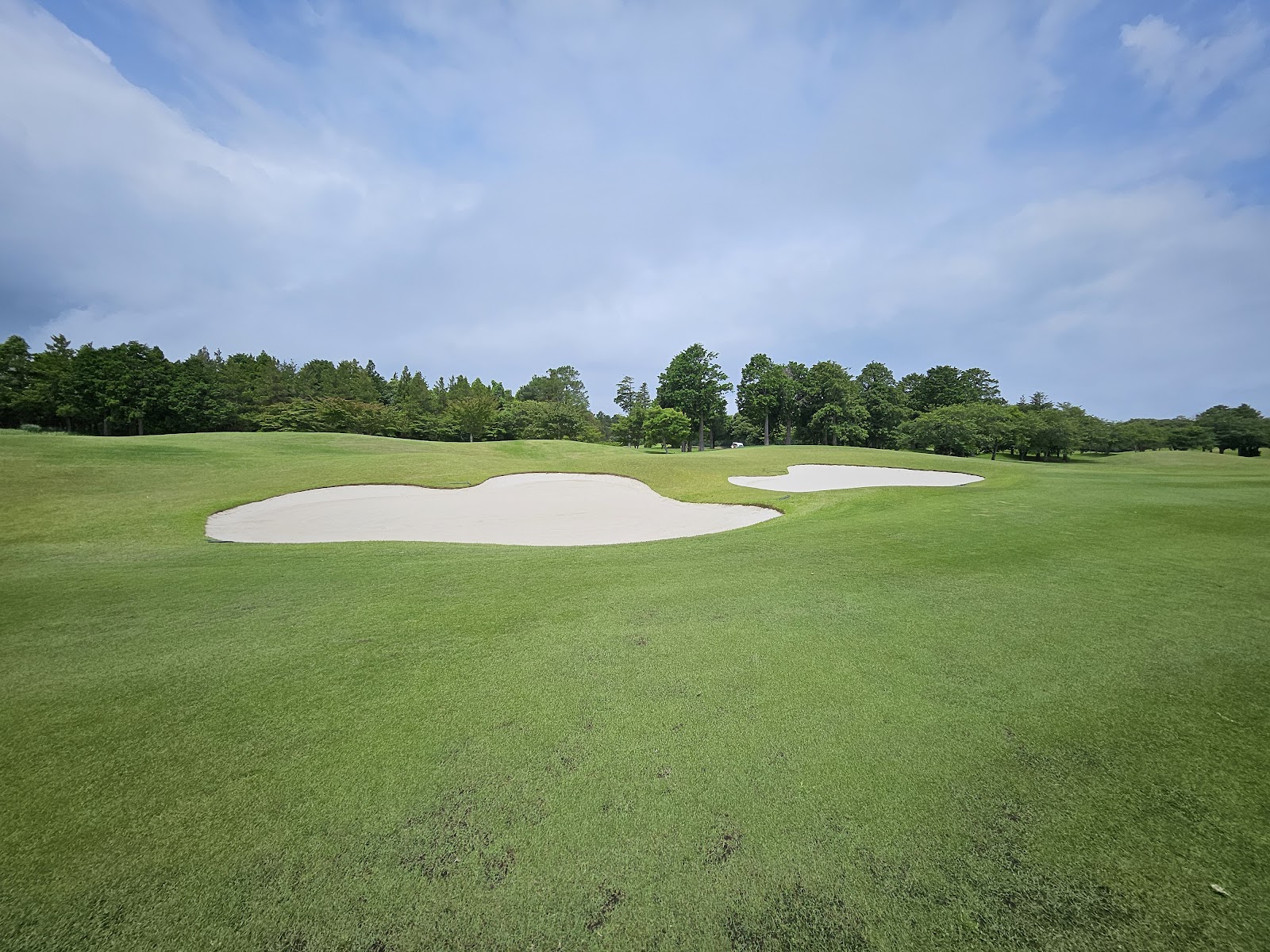 The Royal Golf Club