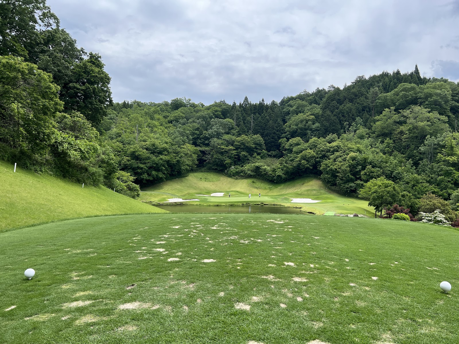 Pine Tree Golf Club