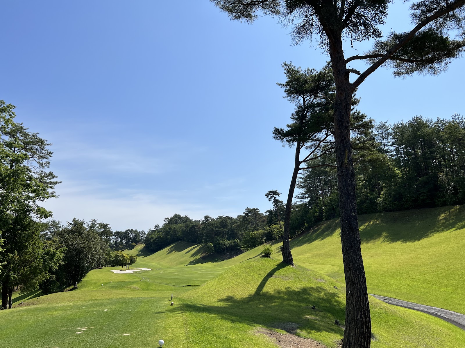 Pine Tree Golf Club - 2