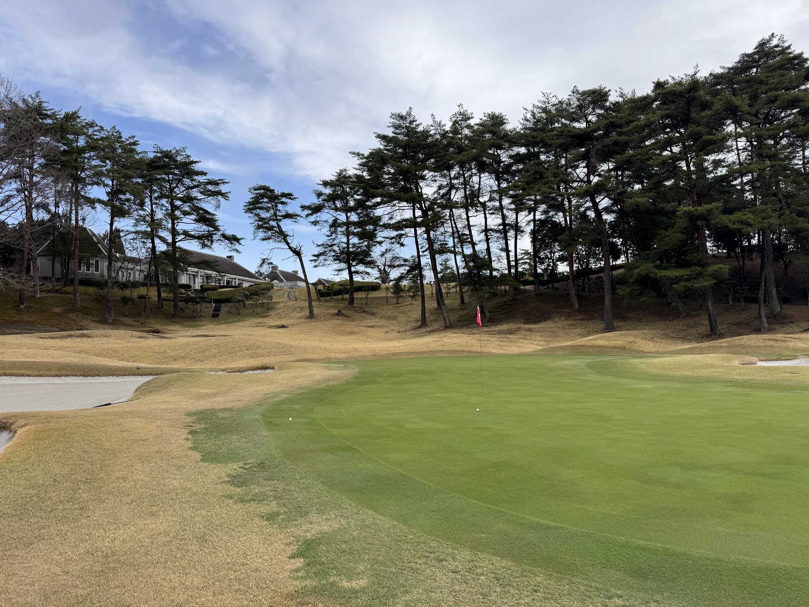 Pine Tree Golf Club - 3