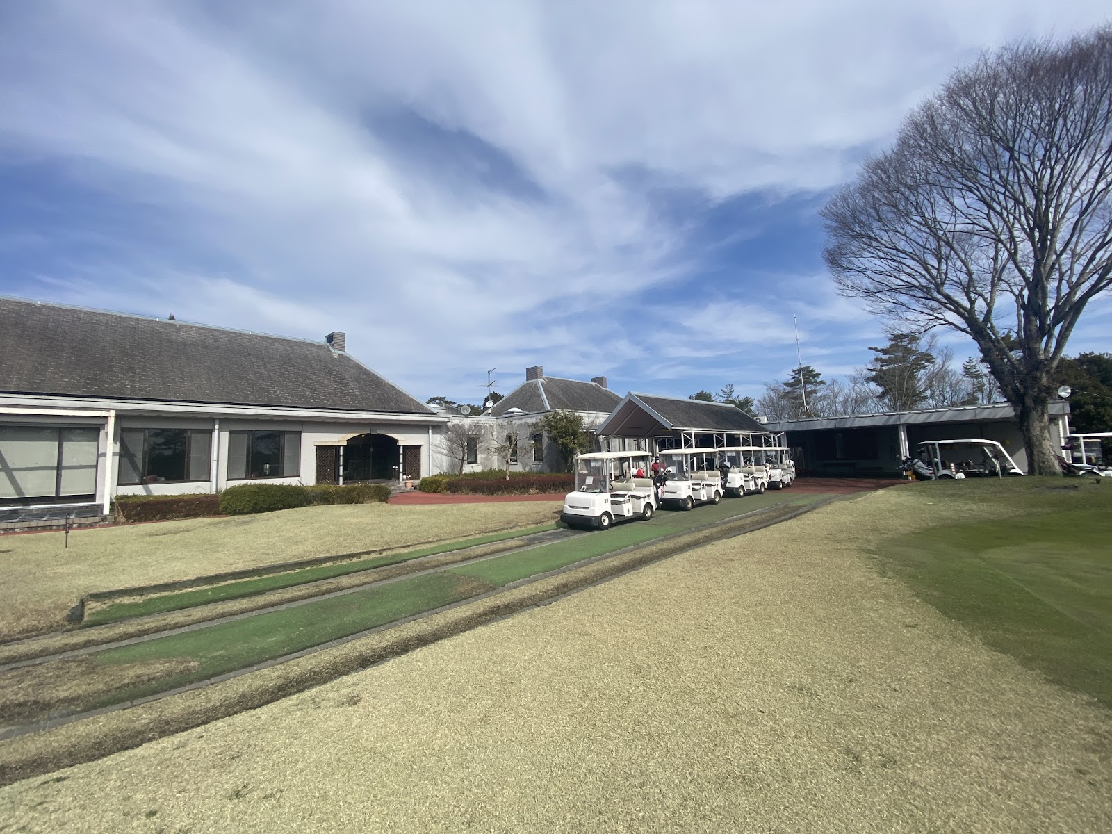 Pine Tree Golf Club - 4