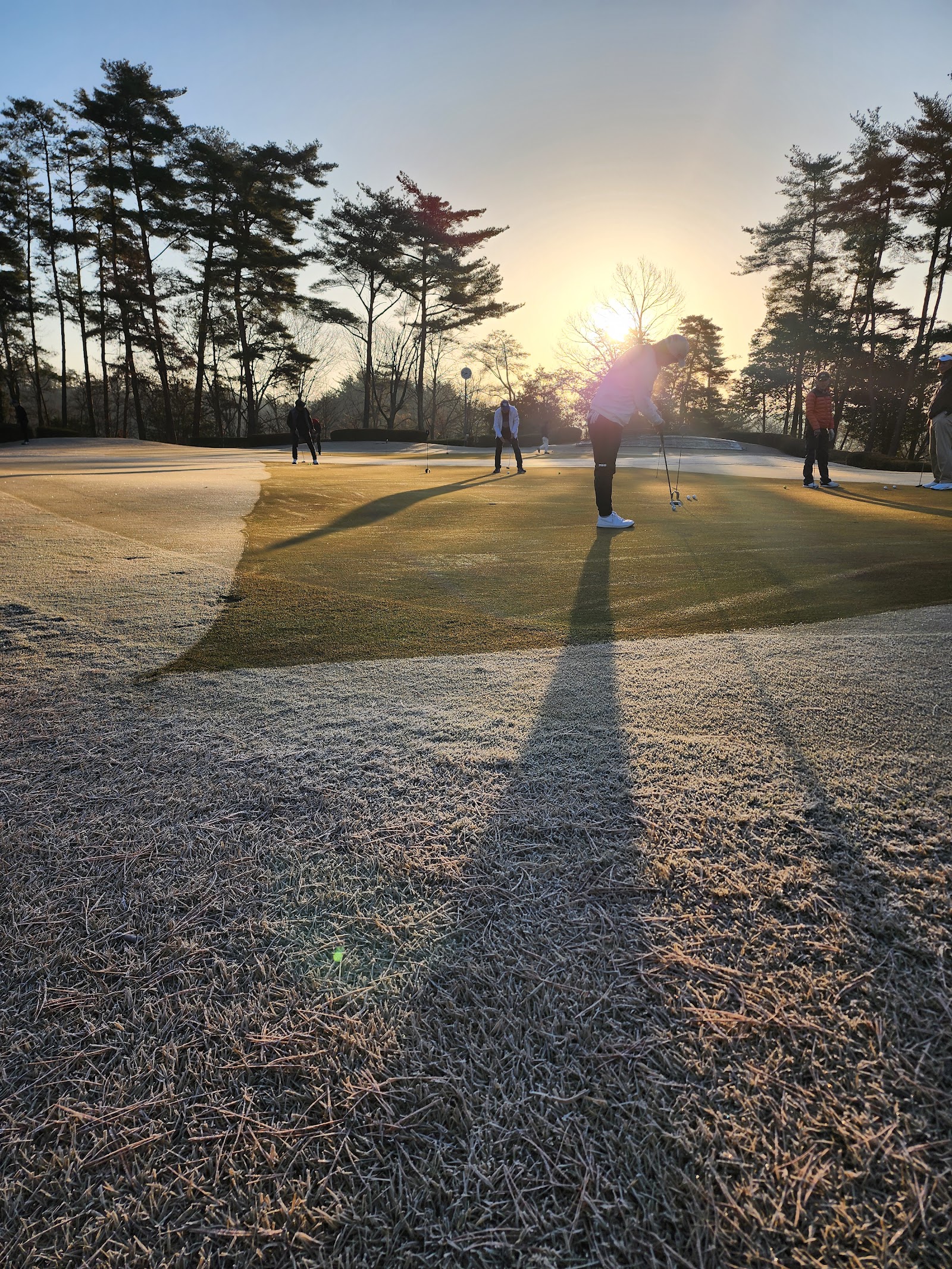 Pine Tree Golf Club - 5