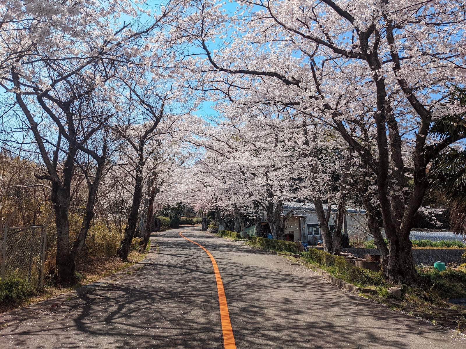 Meishi Country Club - 2